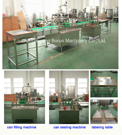 Automatic Small Capacity Can Rinsing Filling Sealing Machine