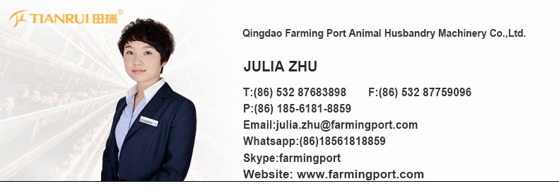 Automatic Layer cage poultry chicken farm equipment for sale