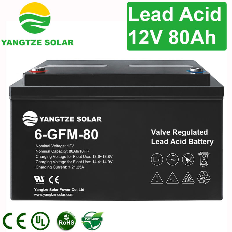 Yangtze 12V 80ah Lead Acid Electric Motorcycle Lead Acid Battery