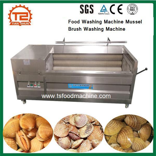 Food Washing Machine Brush Cleaning Machine Mussel Brush Washing Machine
