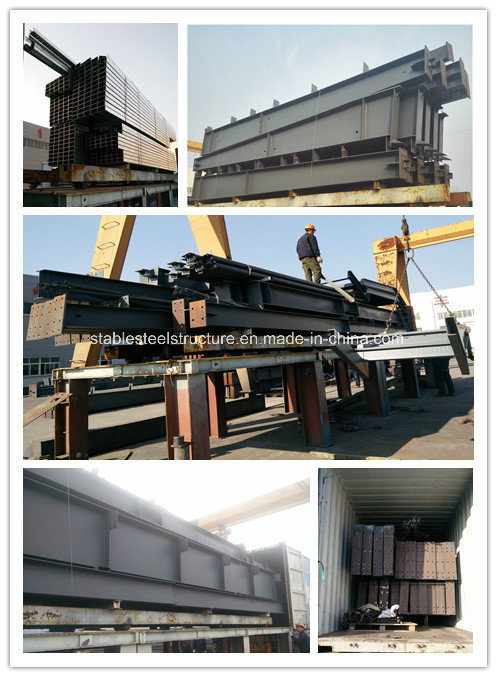 Prefabricated Steel Structure Poultry Farms Breeding House for Chicken Farming