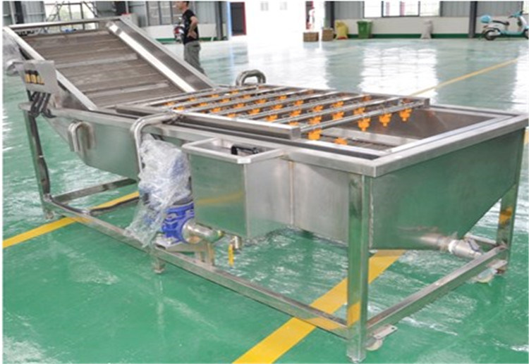 Low Cost High Return Fruit Vegetable Air Bubble Washing Machine
