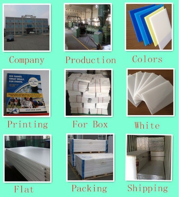 Any Color Black or Blue White for Protection 2mm 3mm 3mm Correx Plastic Sheets for Hard Floor Protection