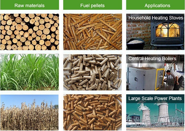 Best Price Wood Biomass Rice Straw Grass Pelleting Machine