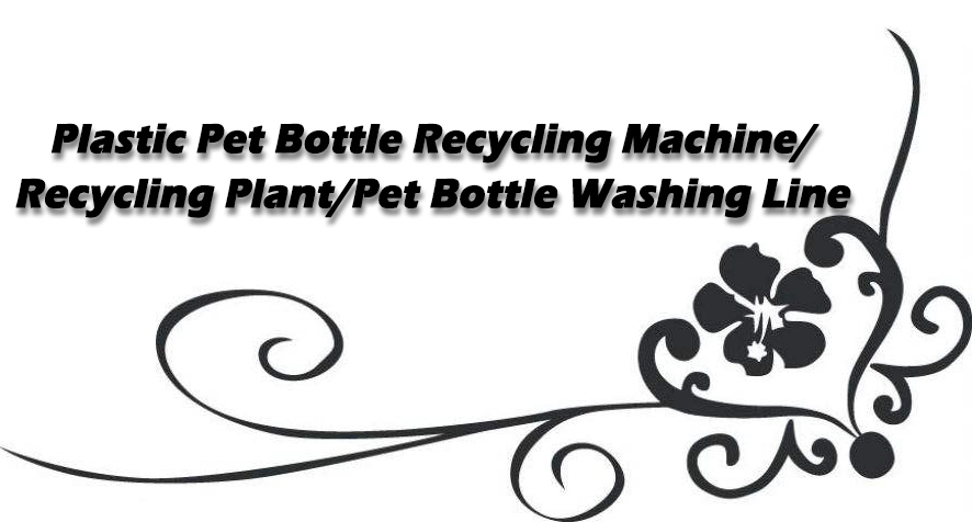 Bottle to Bottle Grade Plastic Pet Bottle Recycling Plant Washing Machine Line