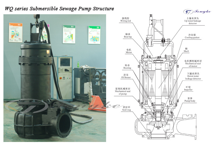 Wq Series High Effiency Submersible Sewage Water Pump