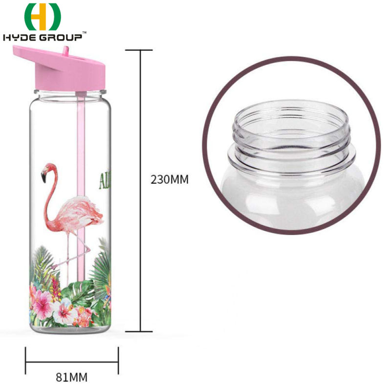 2019 500ml BPA Free Plastic Water Bottle with Straw (HDP-0460)