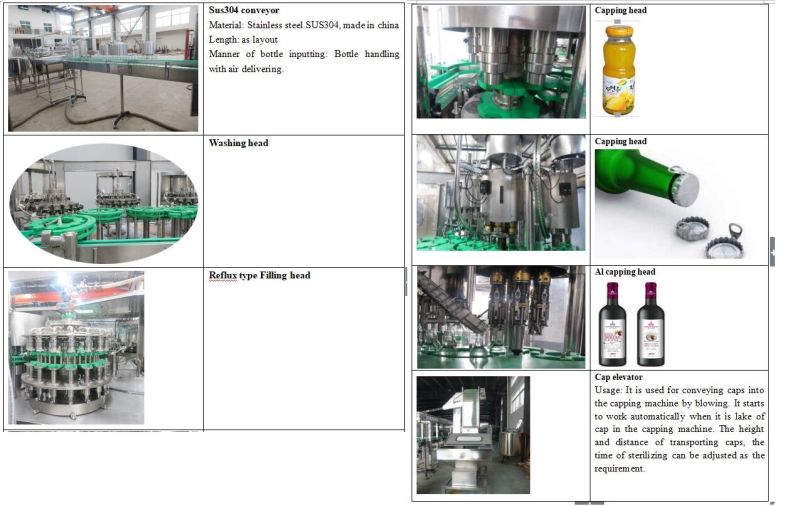Automatic Pet Bottle Liquid Juice Beverage Filling Capping Bottling Plant