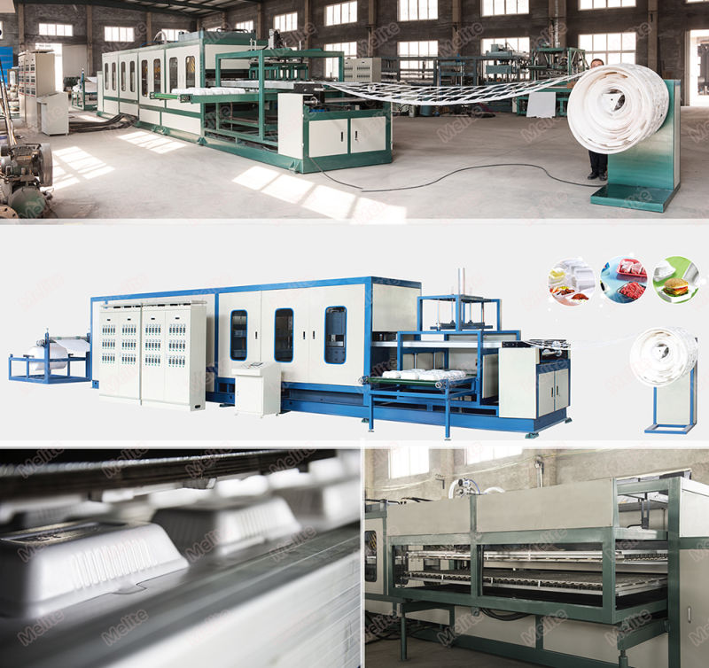 Good Quality Polystyrene Extruder Lunch Box Making Machine From China