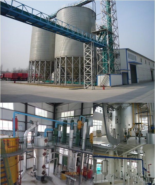 Rice Bran Oil Extraction Plant Rice Shelling Machine Small Rice Extruder Machine