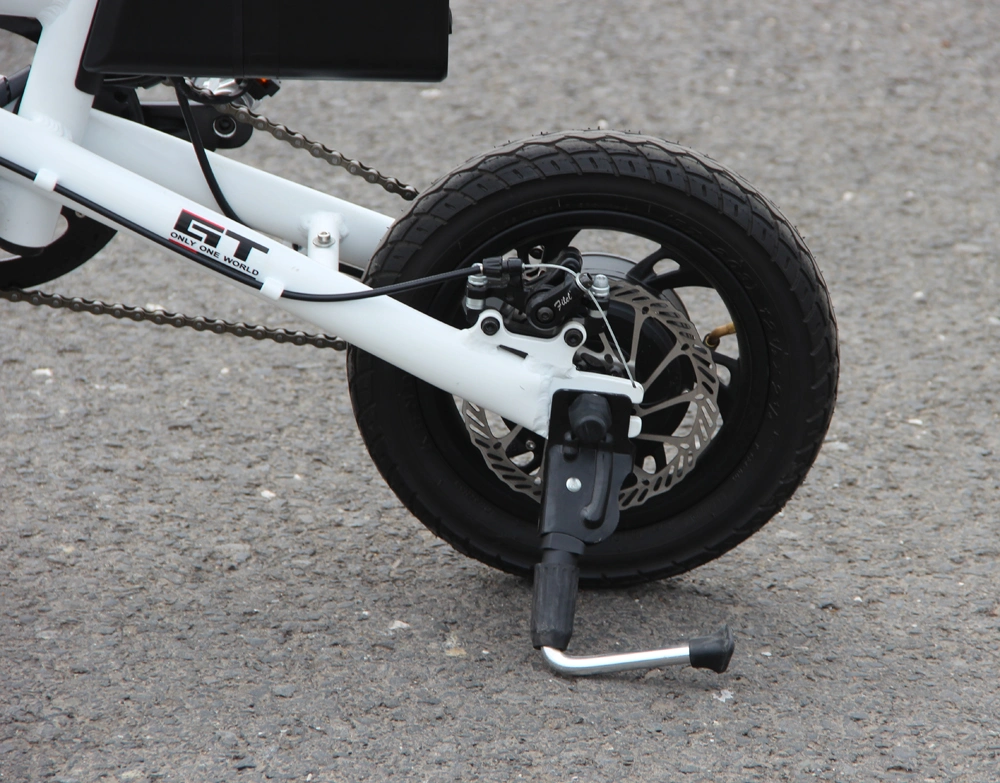 Powerful Foldable Electric Bike Manufacturer