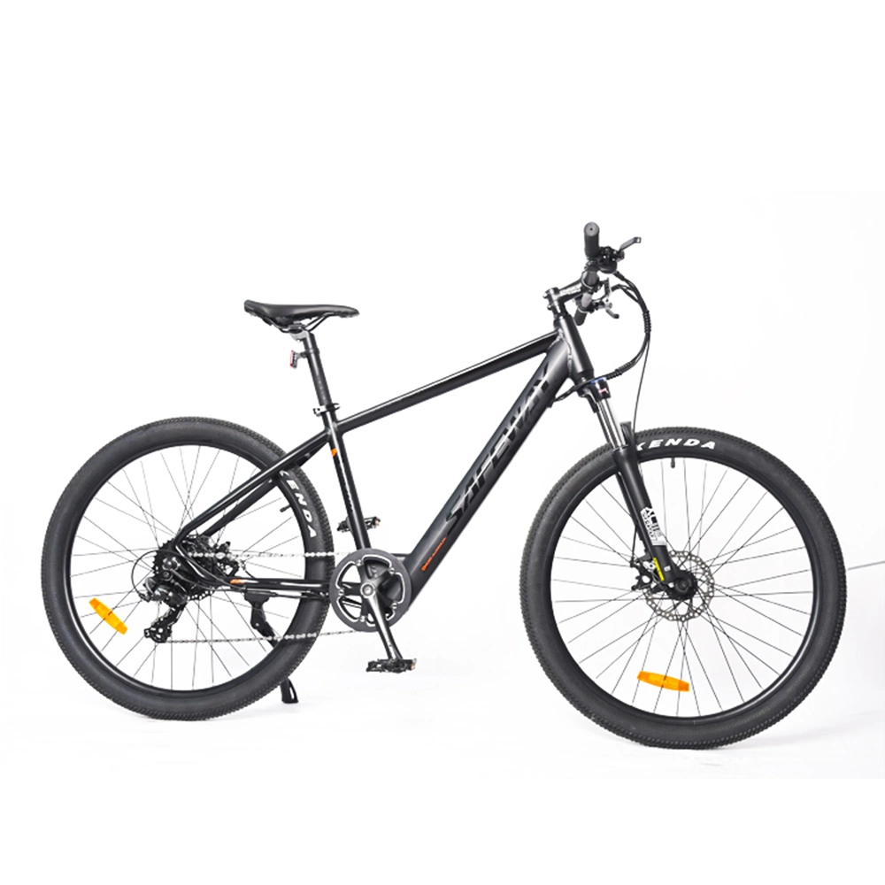 Electric Easy Bike/Electric Fat Bike Bafang/Electric Ebike Powerful