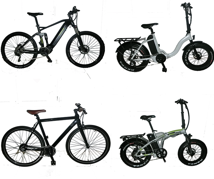 Bafang 48V Electric Mountain Bike 750W 1000W MID Drive E Bike/Fat Tire Electric Bike