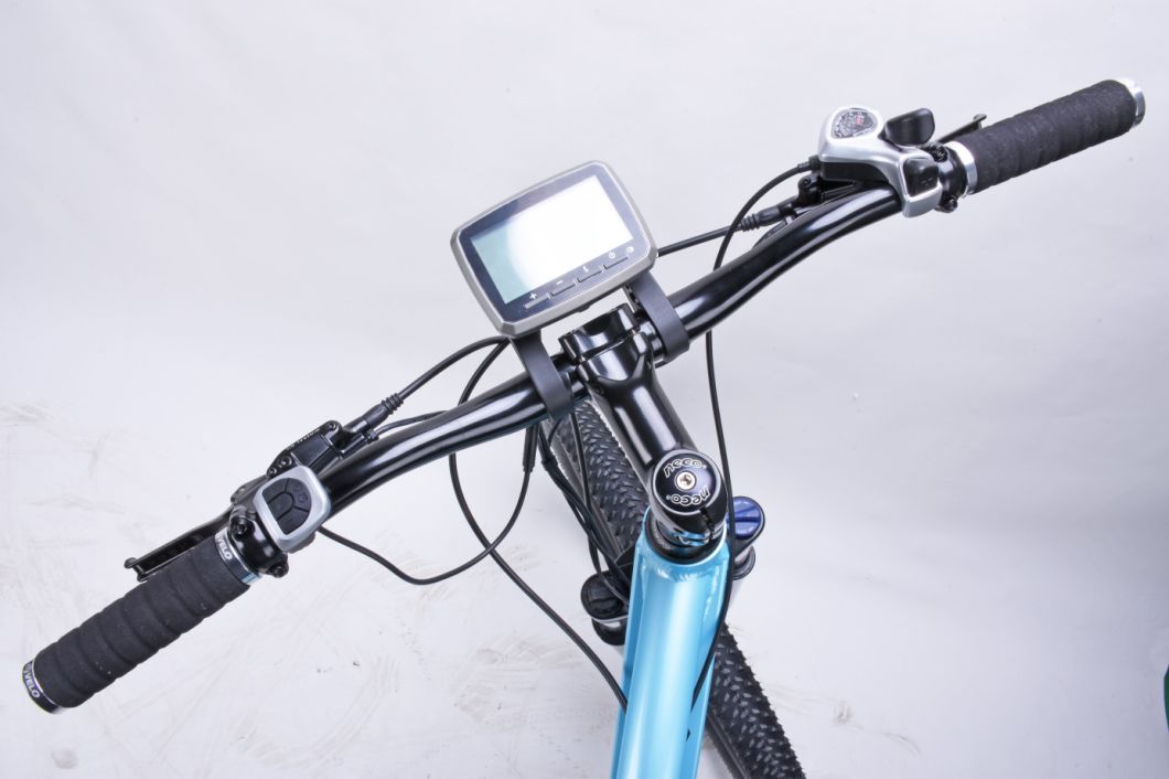28 Inch Lithium Battery Mountain Electric Dirt Bike/Sport E-Bike