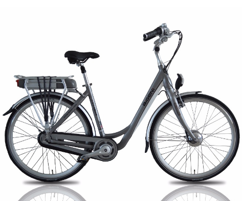250W 36V European Used Bike Wholesale E-Bike/Cheap Electric City Bike