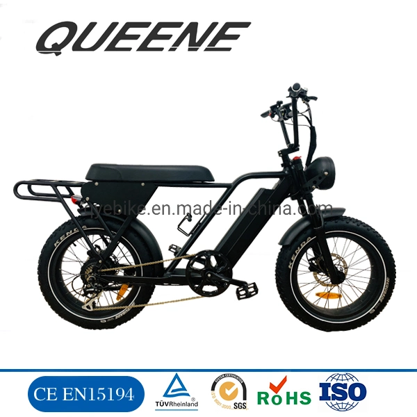 Queene/20 Inch Electric Fat Tire Bike Electric Bicycle 750W Bafang