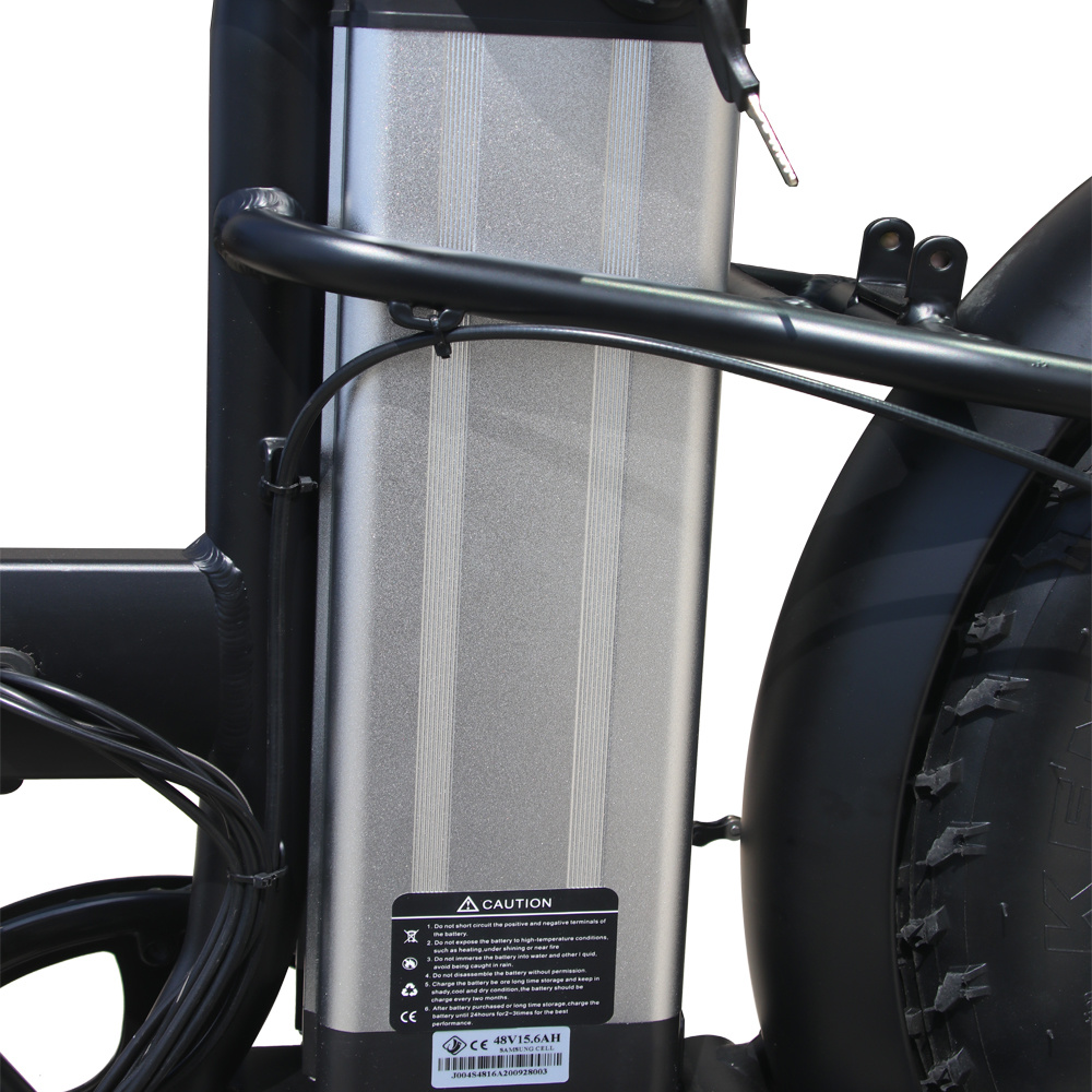 20 Inch 250W/350W/500W Folding Fat Tyre Electric Bike with Ce