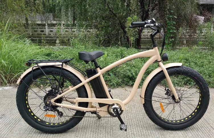 Optional Colors Electric Bikes with Fat Tire
