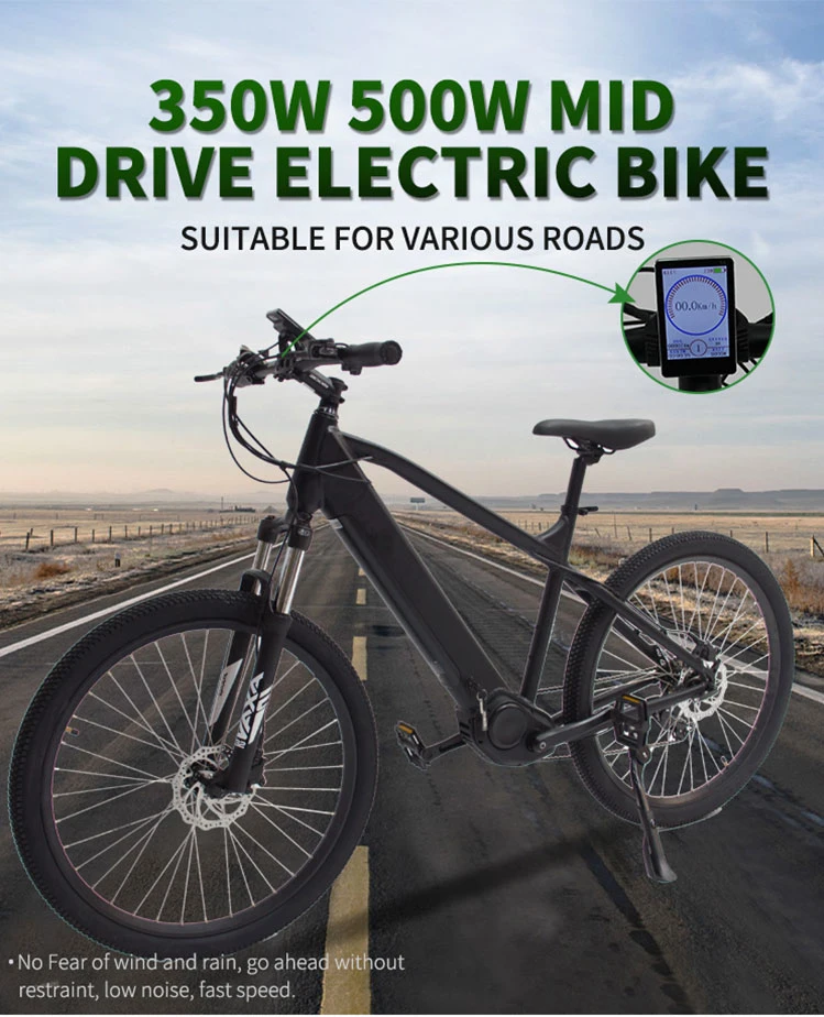 350W Electric Bike MID Drive Electric Bike
