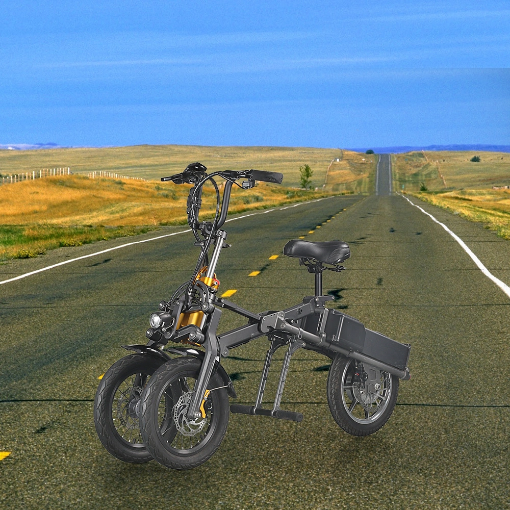 2019 250W European Fashionable Style Electric Folding Bike