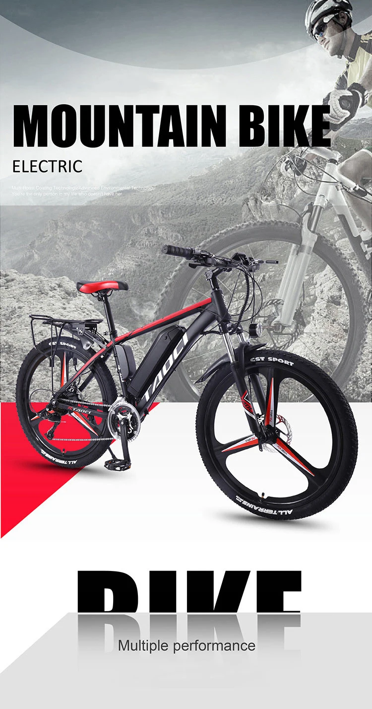 Electric Motor Bicycle 350W Mountain Bike Intergrated Battery Electric Bike