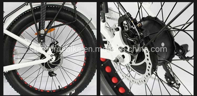 48V 500W 15ah Big Power Fat Tire Electric Bike/Snow Ebike/Electric Beach Cruiser Bicycle