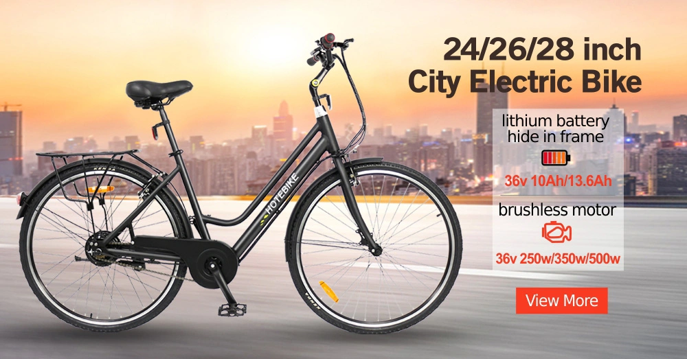 Hot Sale Electric Bicycle with Motor En15194 20-Inch Folding Ebike 36V 250W