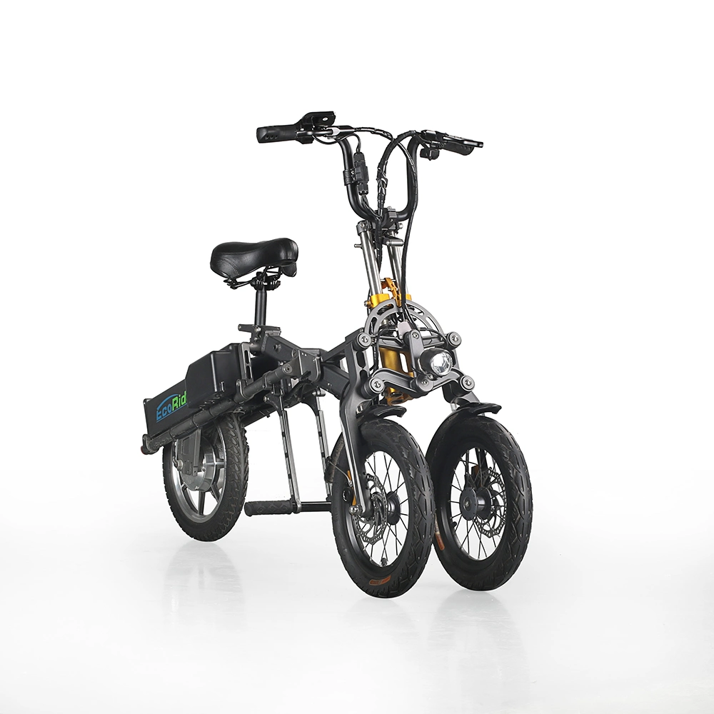 2019 250W European Fashionable Style Electric Folding Bike
