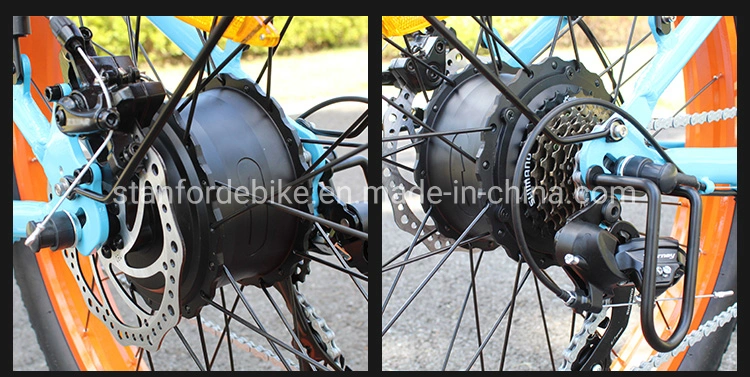Greenpedel Wholesale CE Certification Retro Electric Bike Ebike Bicycle