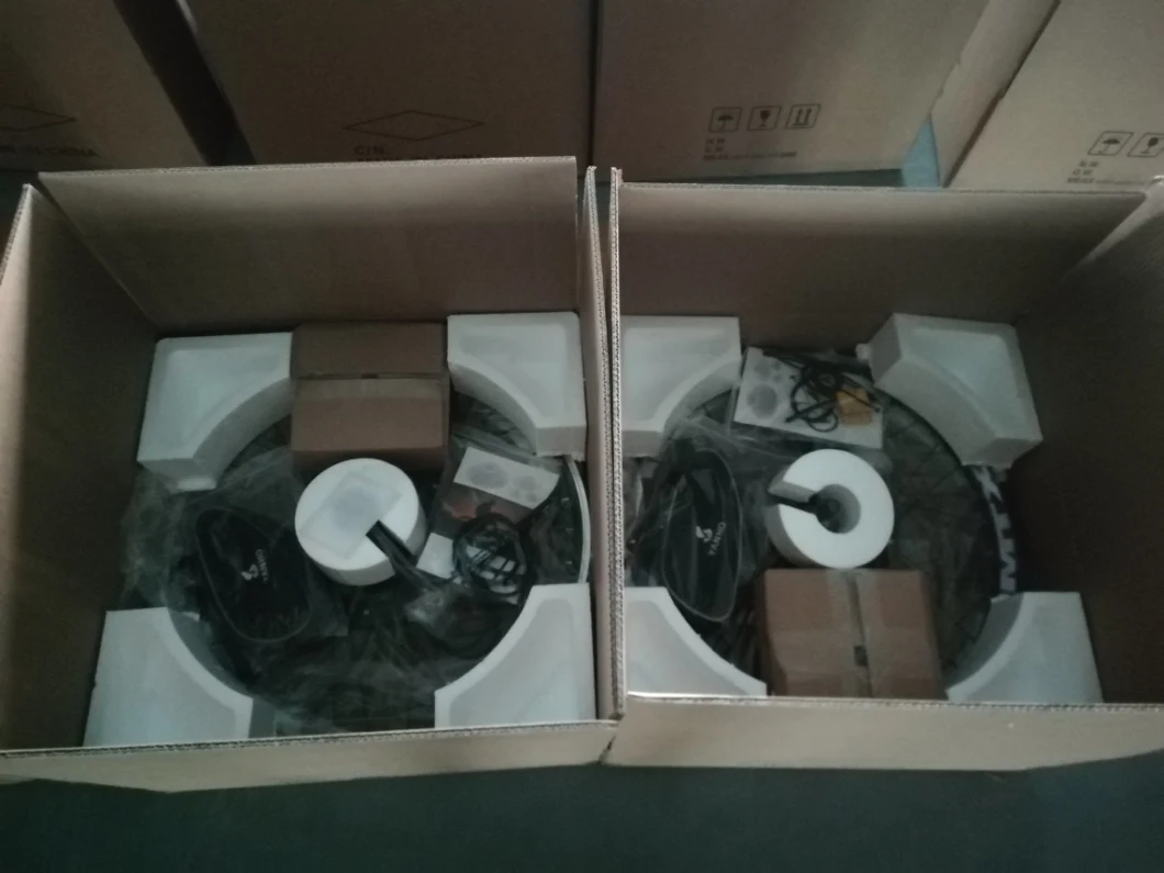 Professional Ebike Factory 36V 250W Motor Wheel Conversion Kit From China