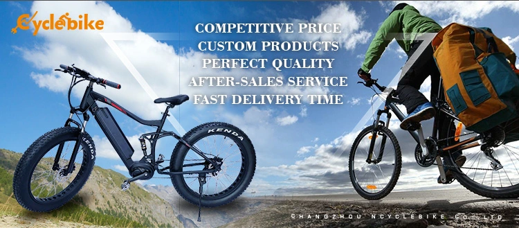 China Electric Bike Factory 36V 500W E-Bike Kit Hot Sale