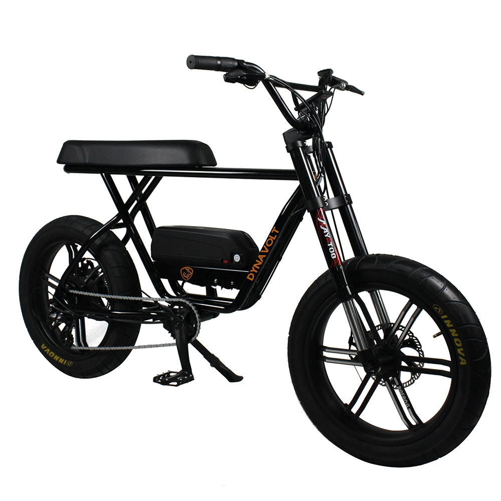 48V 750W/1000W Bafang Motor Fat Bike 2020 Electric Bike Ebike