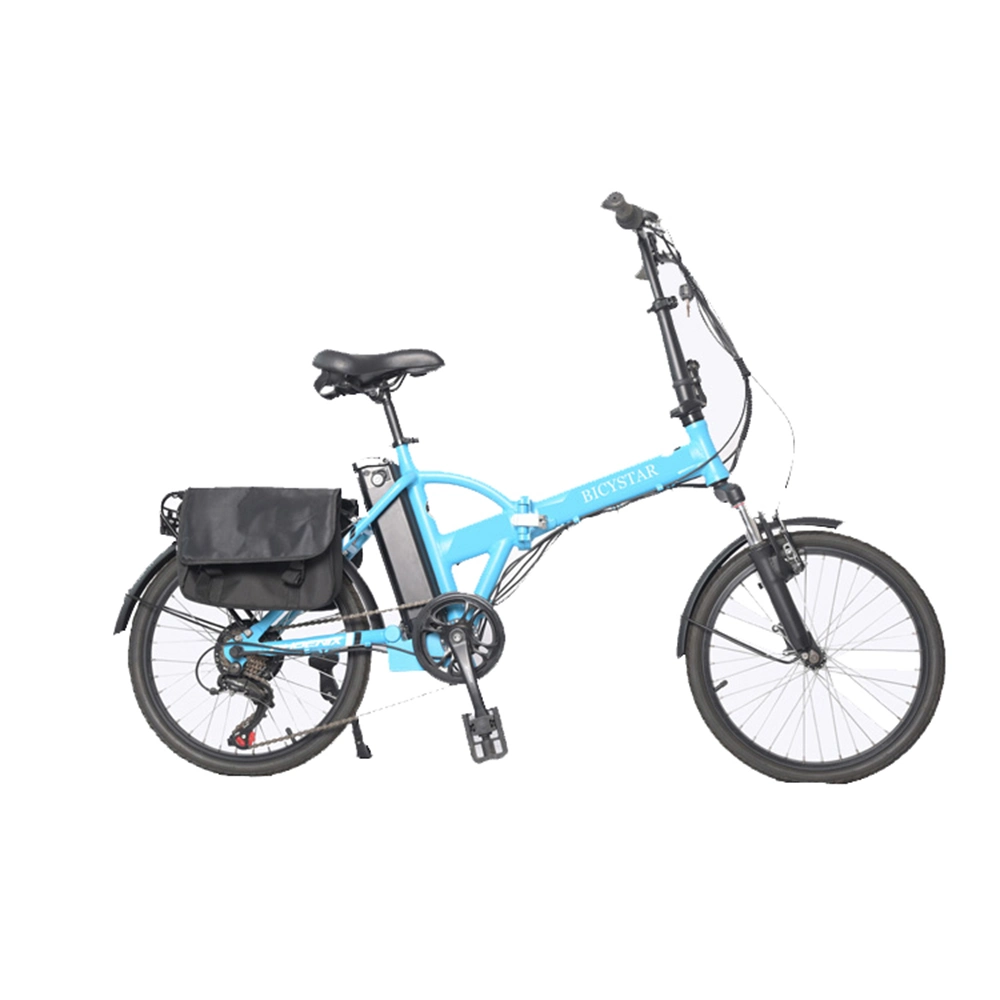 OEM Custom 12 /14 /16 Inch 250W 350W 5000W 18V 48V E Bike Electric Bicycle Ebike