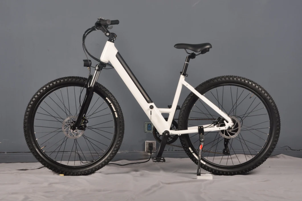 26inch 350-500W Electric Cycling Cheap Price Lithium Battery 10.4ah Disc Brake Electric Bikes