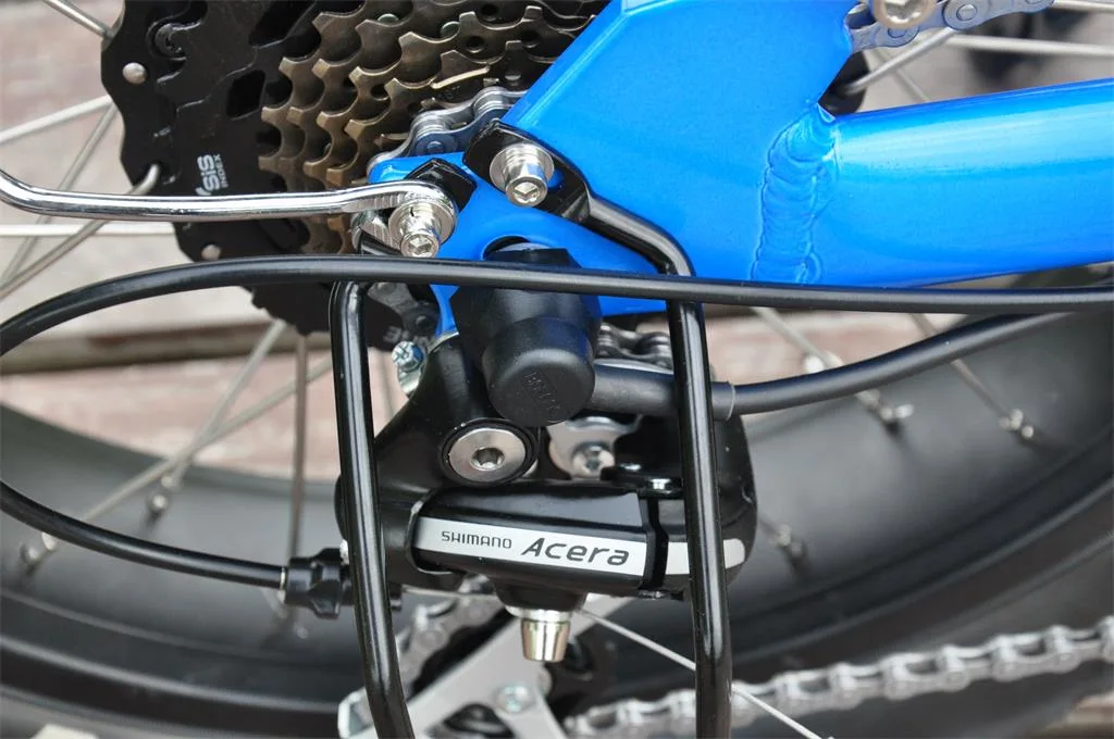 750W Electric Bike Bicycle with Steel Frame E-Bike