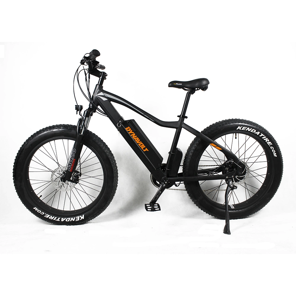 Factory Direct Supply Removable Battery Long Range Fat Tire Mountain Ebike