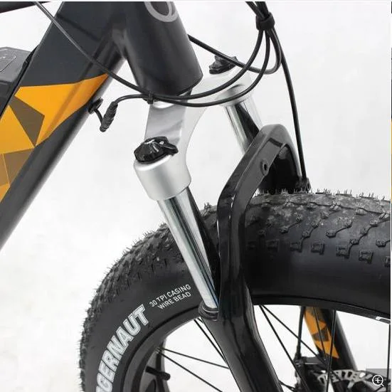 Jobo 500watt 750watt Fatbike 26 Inch Electric Snow Bike with CE En15194