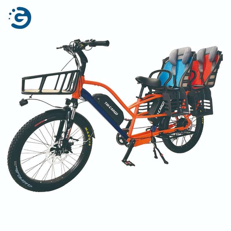 250W Two Wheels Front Load Electric Cargo Bike E Bike With Pedal For Kids Family