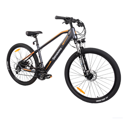 Adult Road City 13ah Electric Bikes with Bafang Motor
