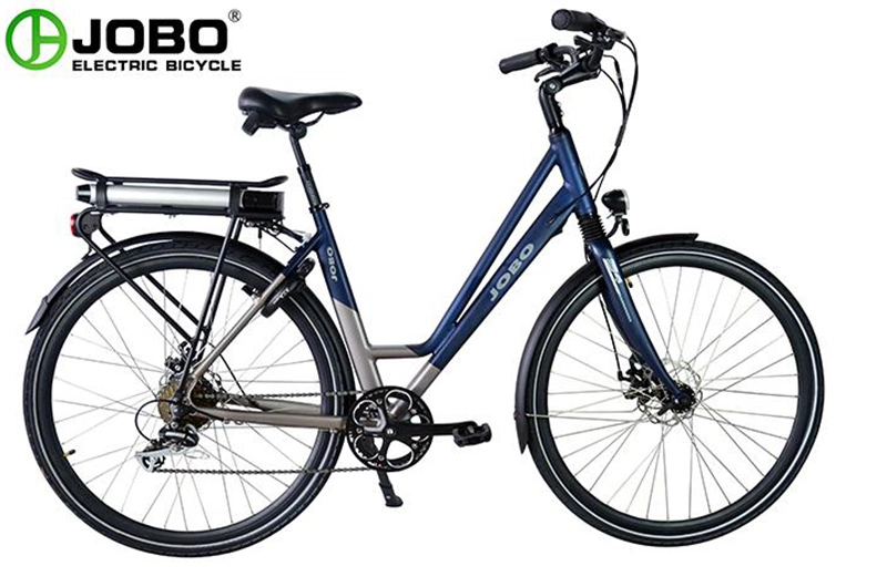 250 Brushless City Electric Bike Alloy Electric City Bike for Men