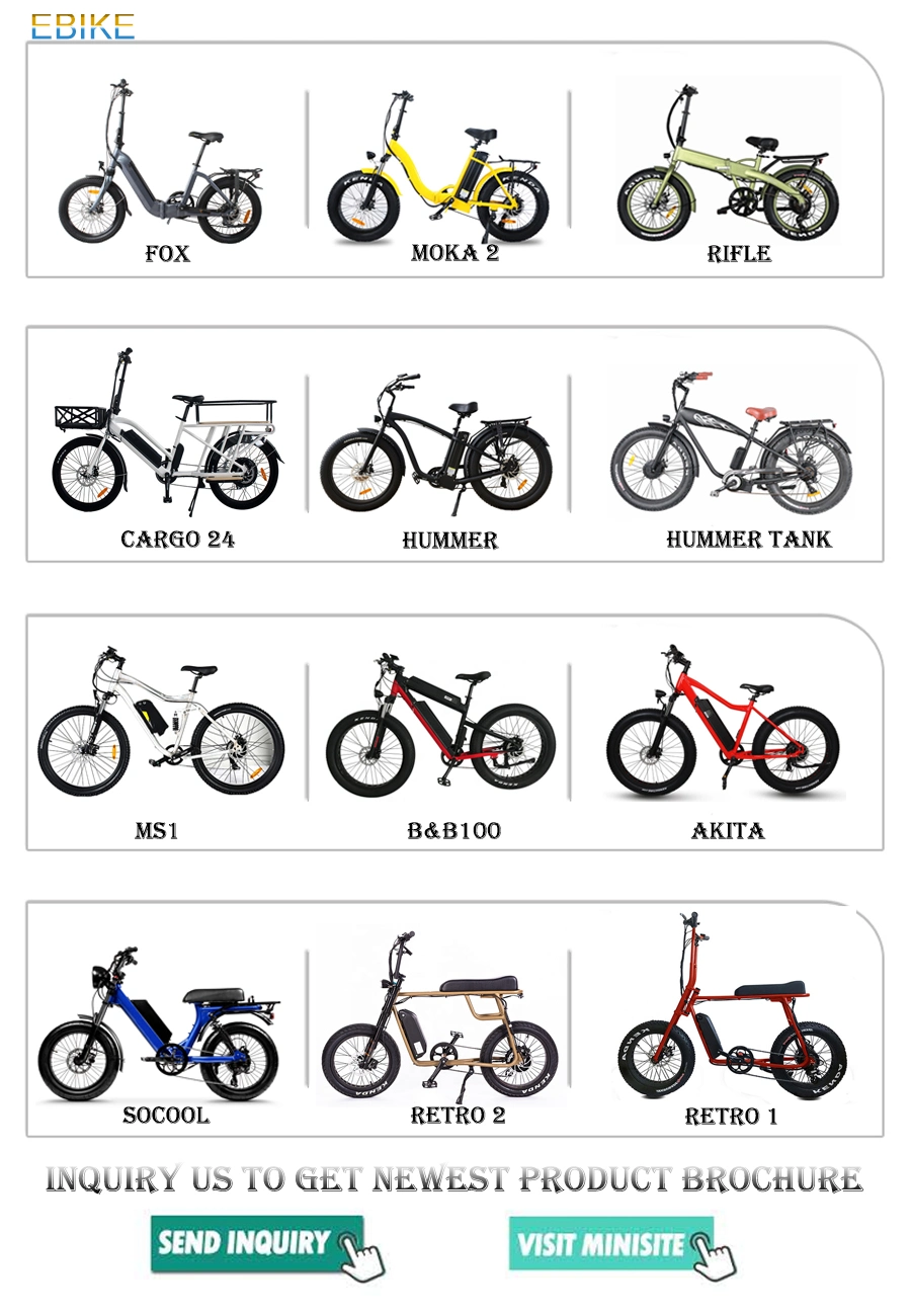 New Style Electric Bike Factory Wholesale Steel High Quality Best Price Mountain Bike for Adult