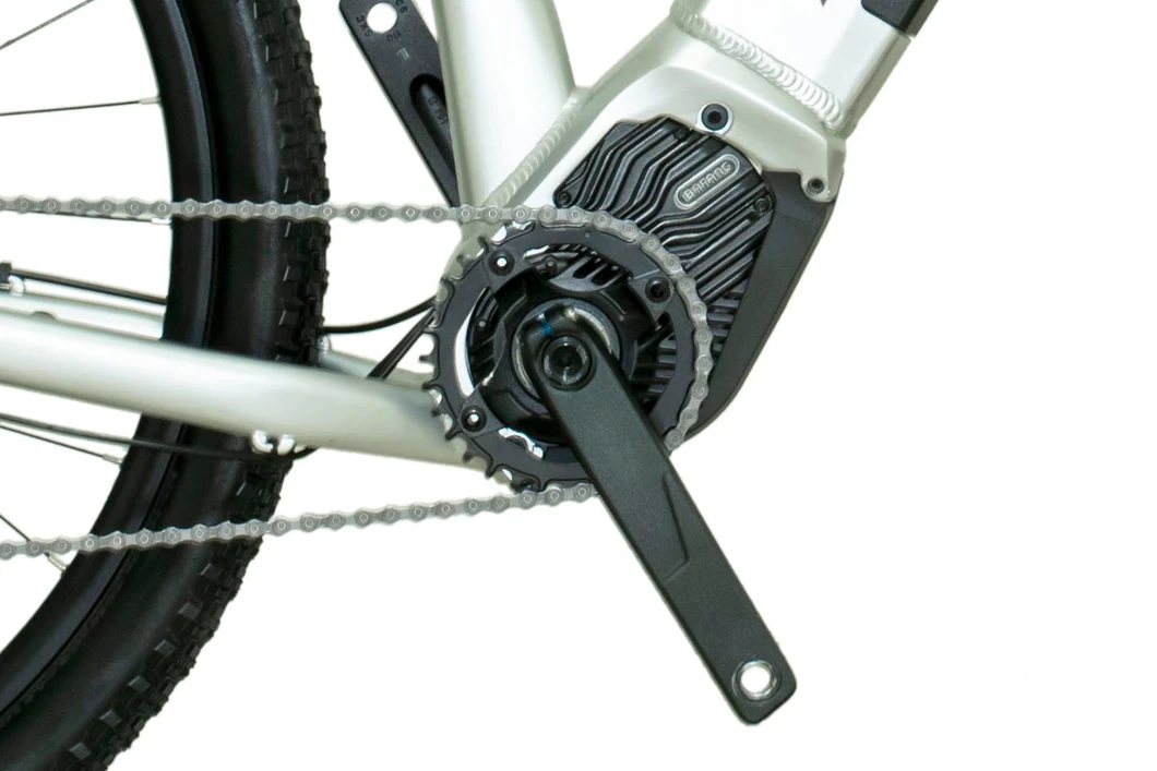 En15194 Aluminum Alloy Frame 36V*350W Electric Mountain Bike Mountain Bicycle Middle Bafang Motor Ebike