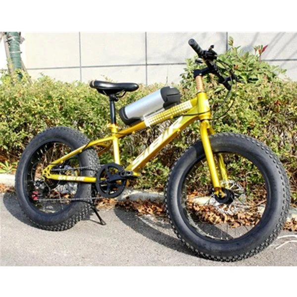 20 Inch 48V 250-1500W Cheap Fat Tire Electric Bike / Full Suspension Electric Mountain Ebike / Fat Bike Electric / Bicycle
