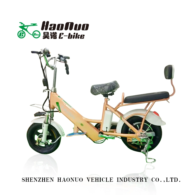 OEM 14inch Wheel 48V 350watt Electric Bike with Pedal Assistant for Sale
