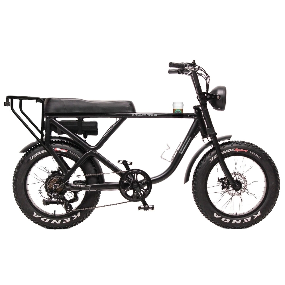 48V 17.5ah Battery Electric Bike 48V 1000W Bafang Electric Bicycle Mz-106
