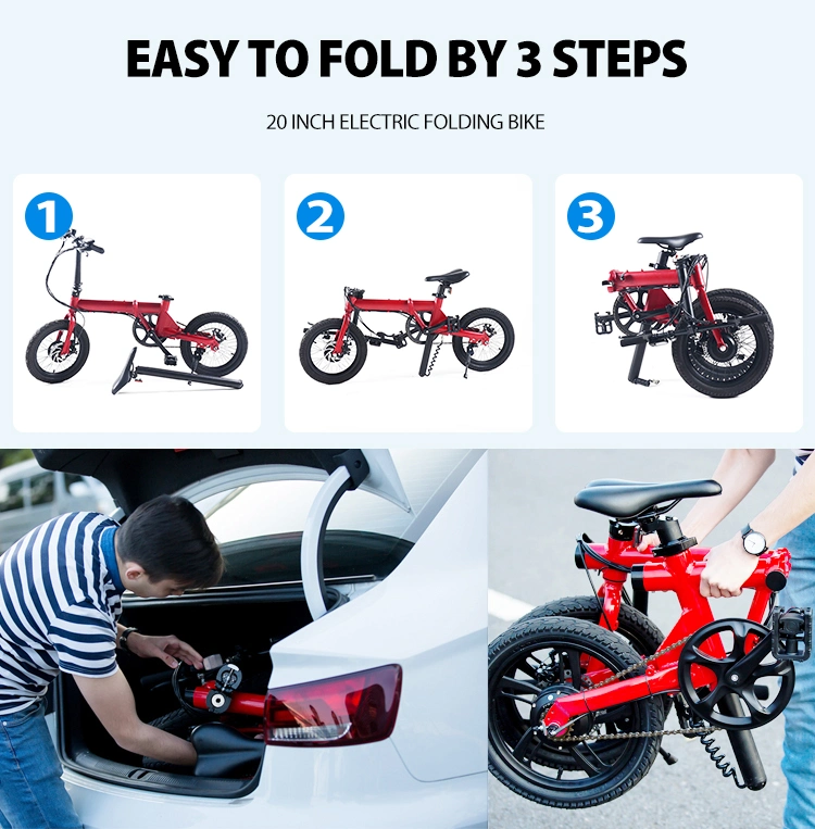 Aluminum Alloy 20 Inch Fold Electric Bike for Wholesales
