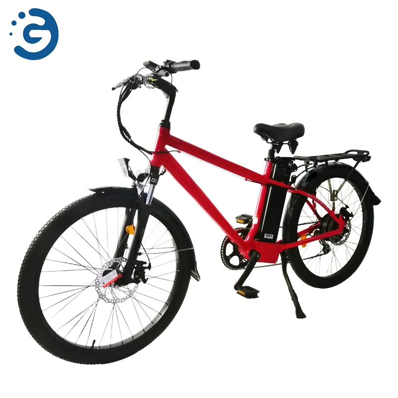New Style Electric Bike Factory Wholesale Steel High Quality Best Price Mountain Bike for Adult