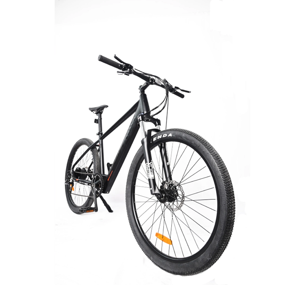 Electric Easy Bike/Electric Fat Bike Bafang/Electric Ebike Powerful