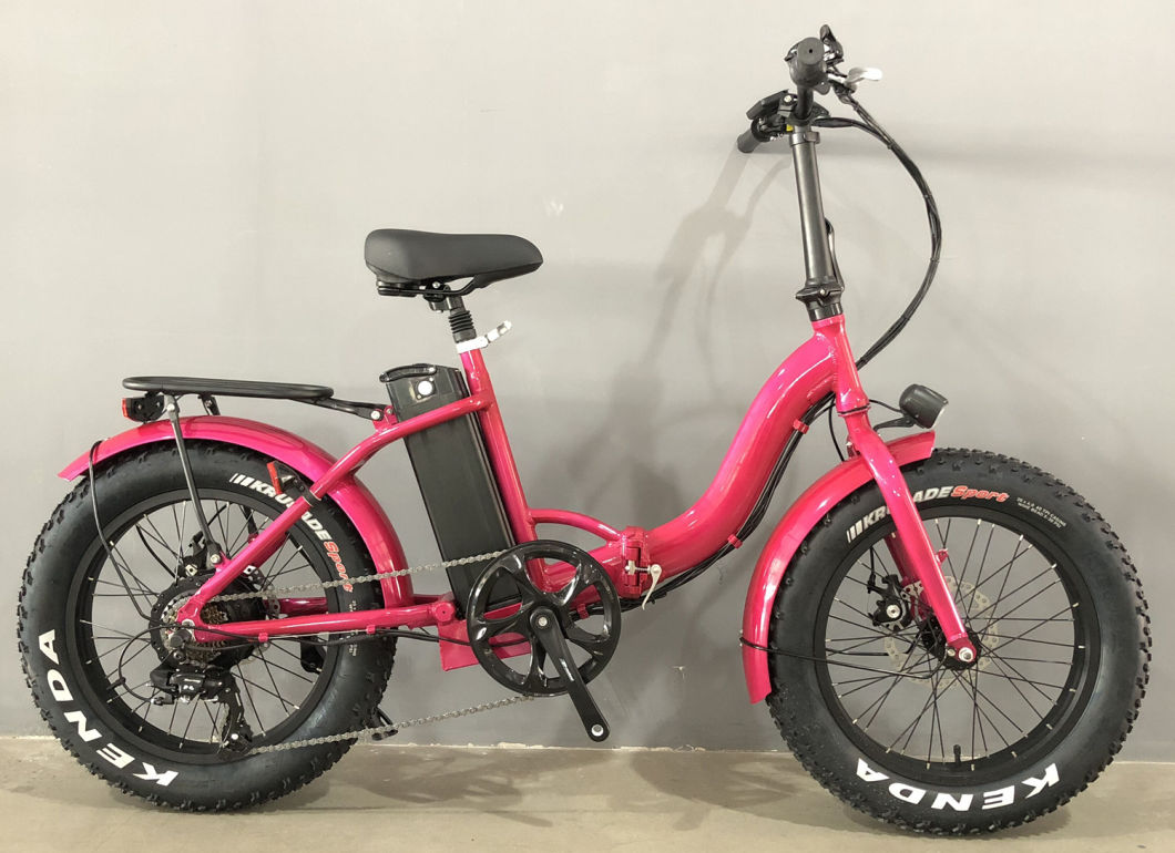 1 Piece Sold Electric Bike Folding Fat Bike/ Electric Bikes for Men City