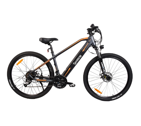 Lady Road City 350W Bafang Motorelectric Bikes with Hidden Battery